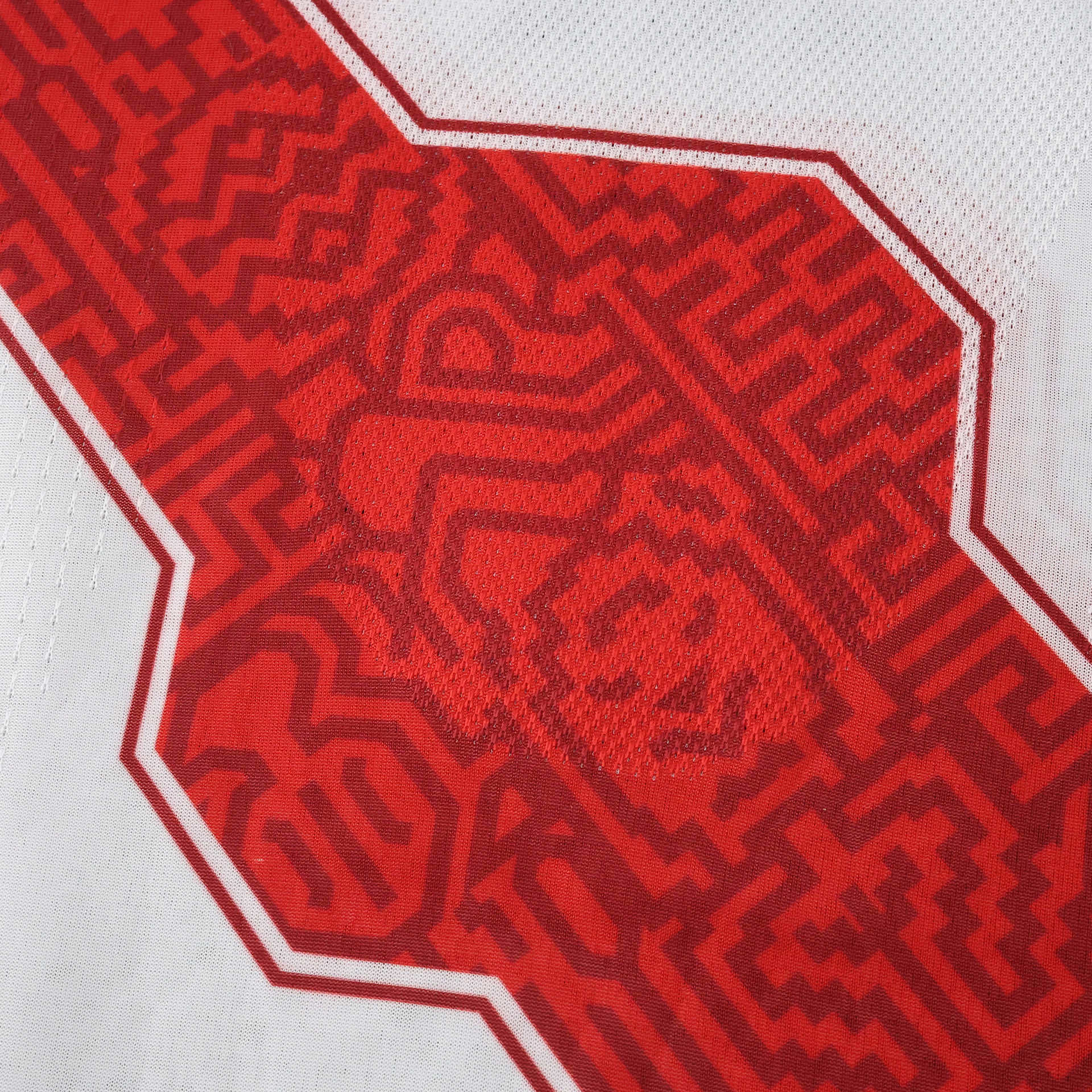 Camiseta Peru I Copa Del Mundo 2026 Hombre Version Jugador