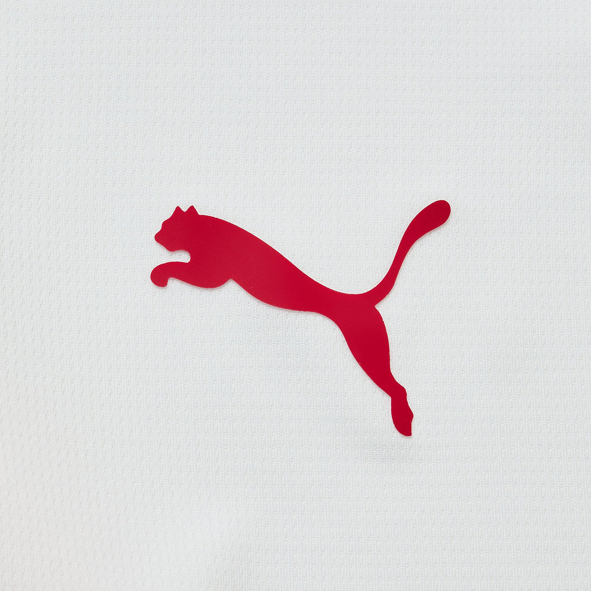 Away 26/27 Men’s Shirt